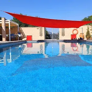 book here